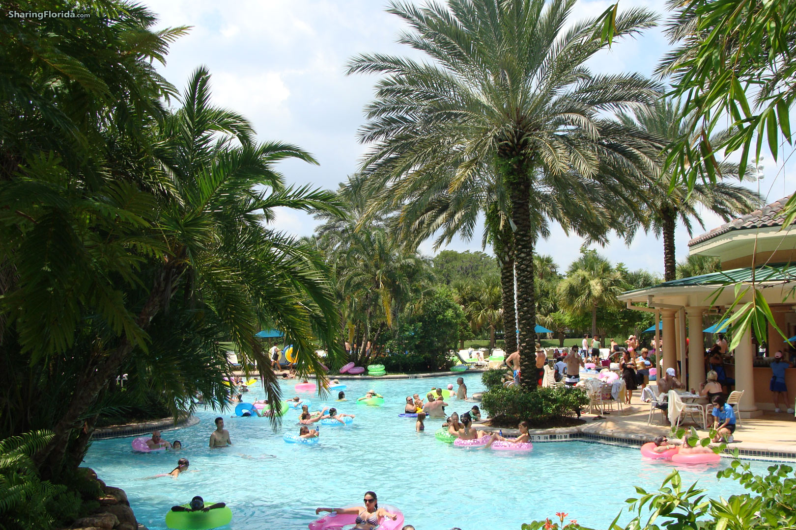 Florida Swimming Pool Wallpaper Lazy River From Orlando