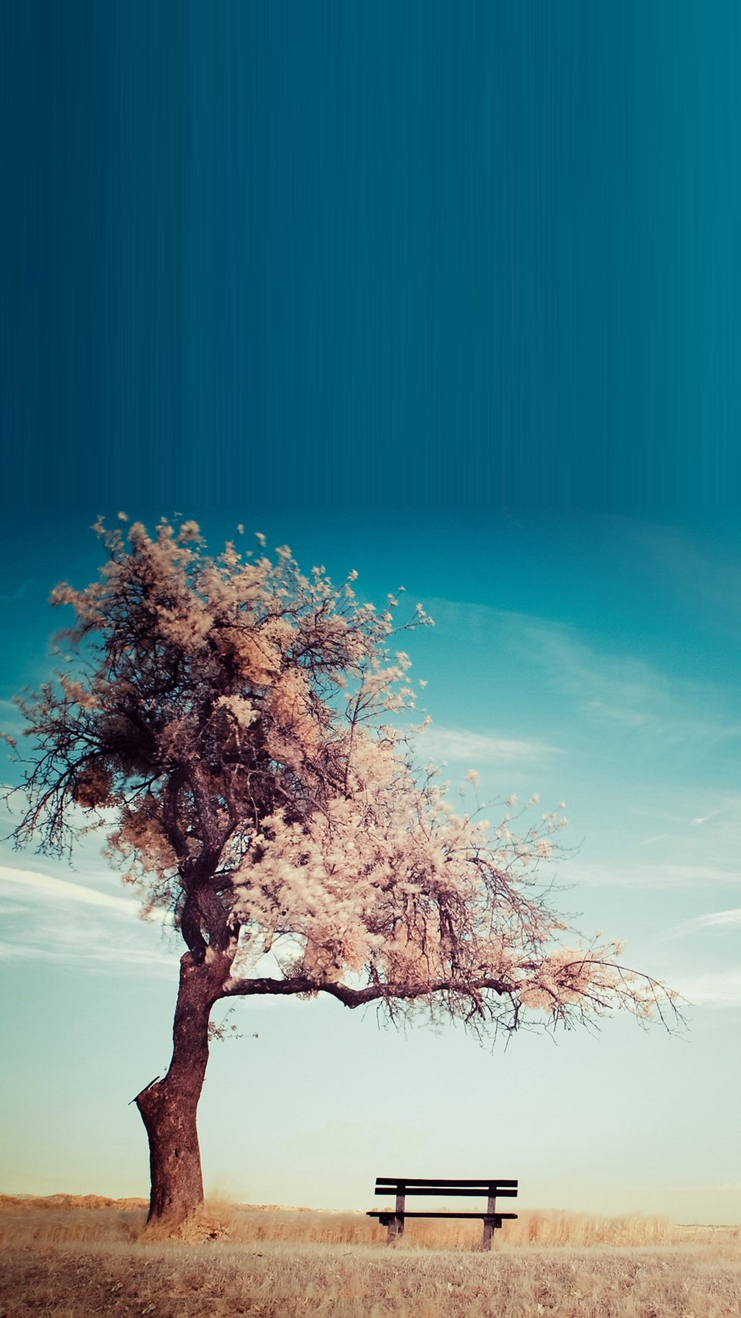 Tree Bench Smartphone HD Wallpapers GetPhotos