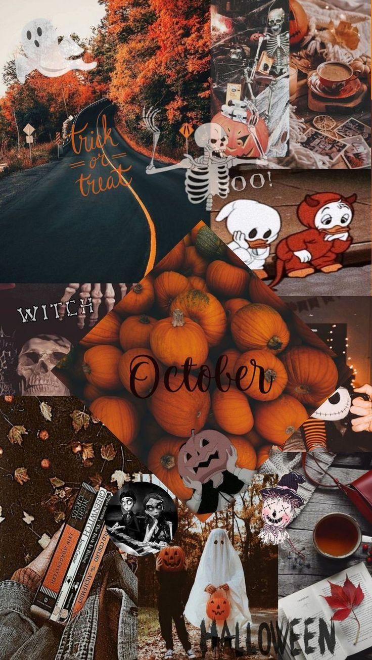 Autumn Collage Aesthetic Wallpaper October Halloween In