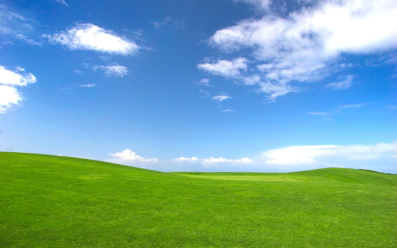 Bliss Microsoft Windows Skyscapes Wallpaper Nature Grass HD