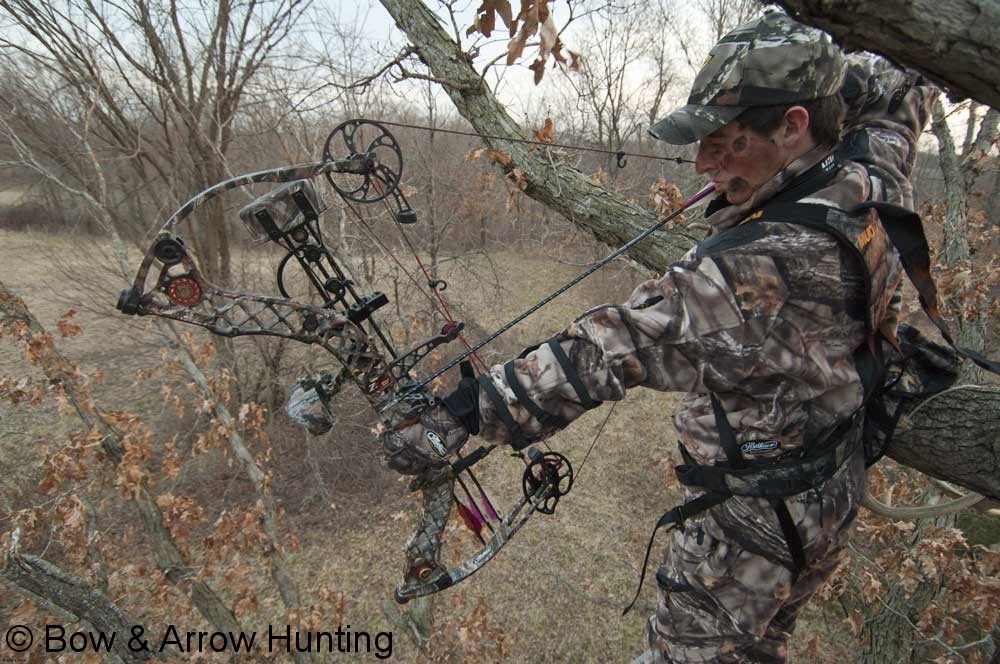 Bowhunting Gear Pound Bows Traditional Hunting Bow