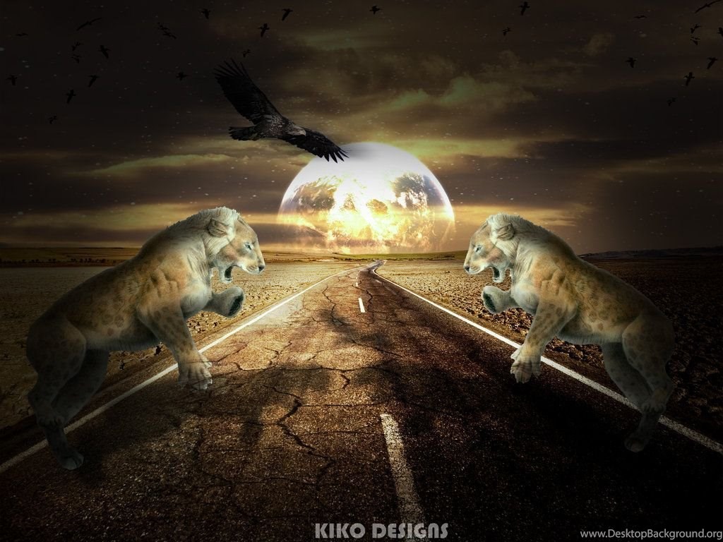 The Two Lions Wallpaper By Kikomkd Desktop Background