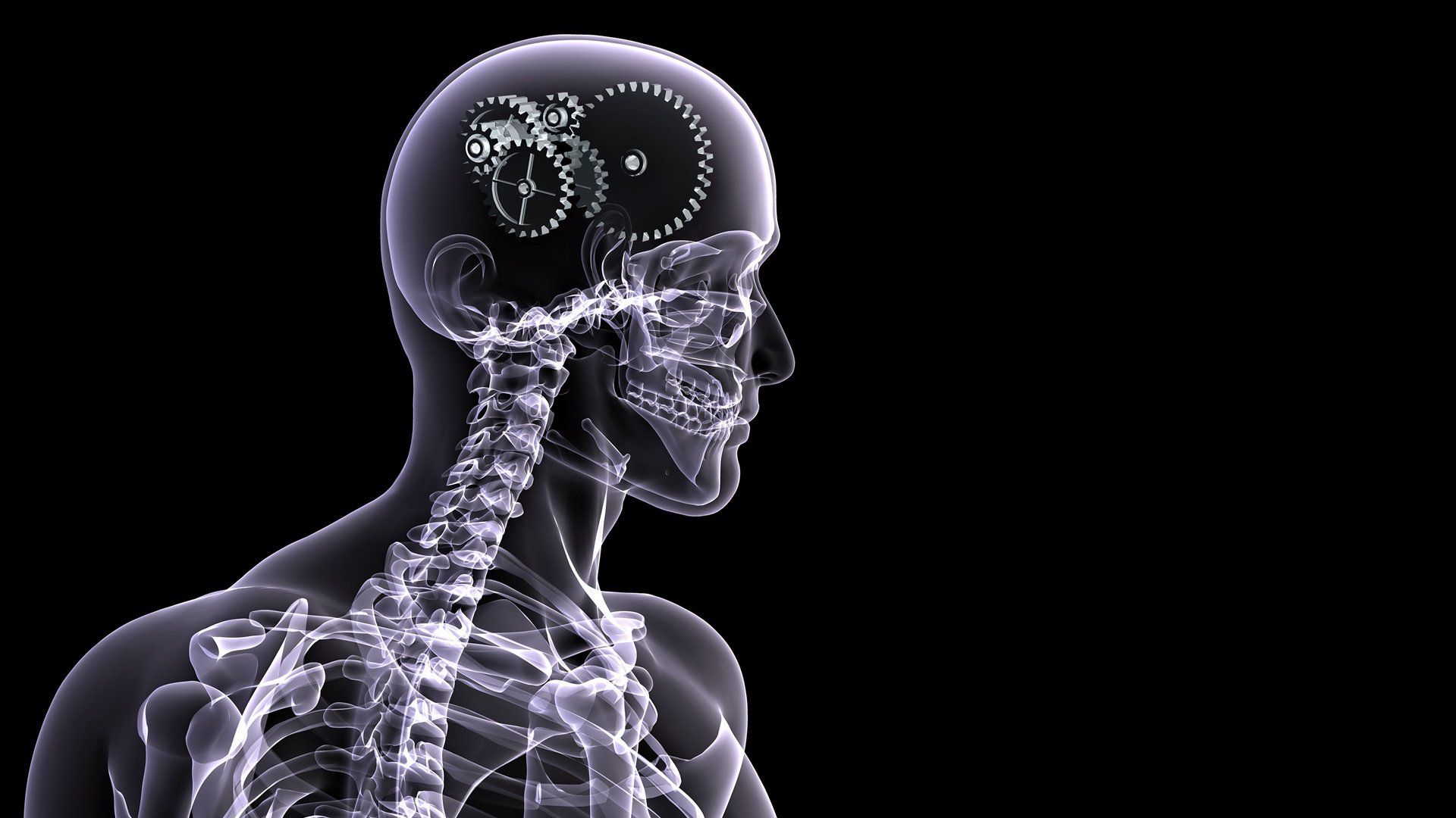 Bones Wallpaper On