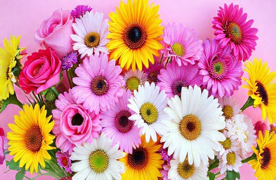 Phool Wallpaper