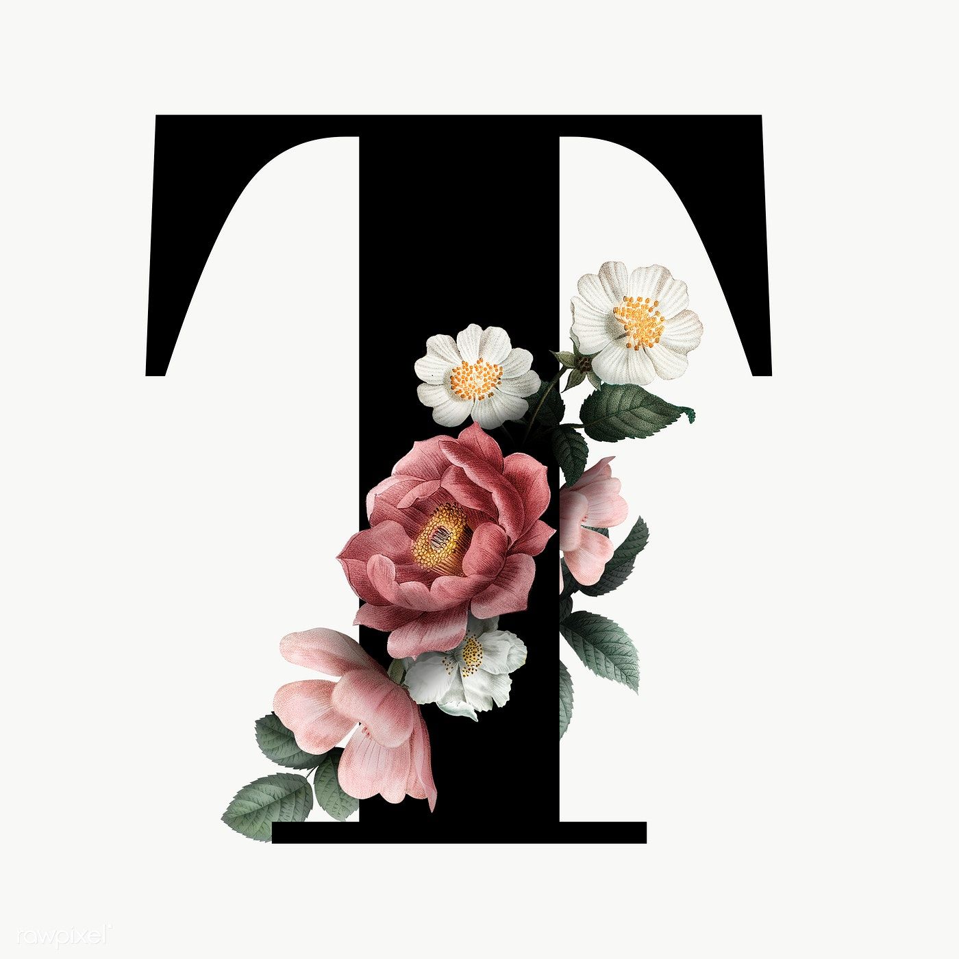 Classic And Elegant Floral Alphabet Font Letter T Transparent Png Wallpaper