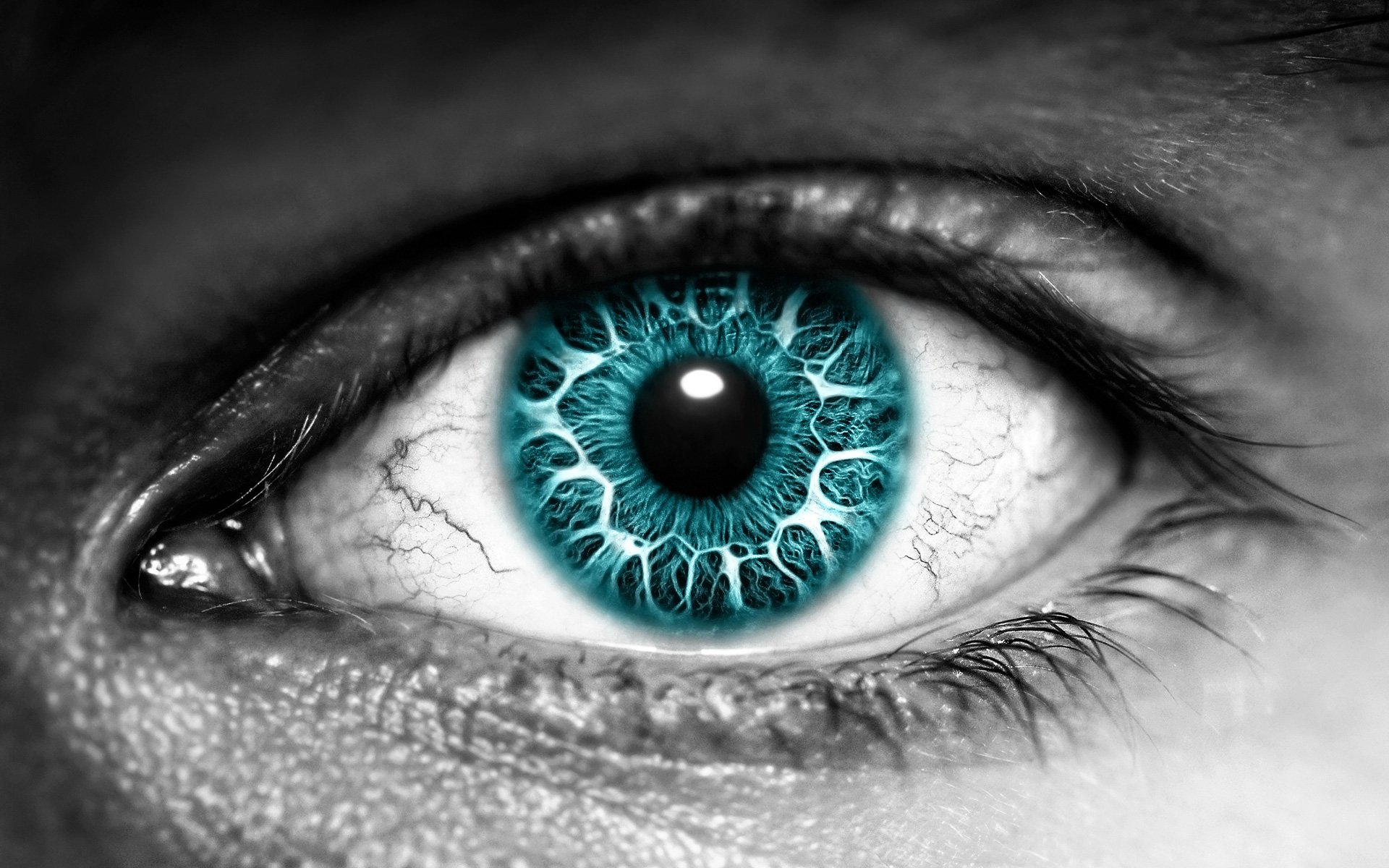 The Eye Exclusive HD Wallpapers 135