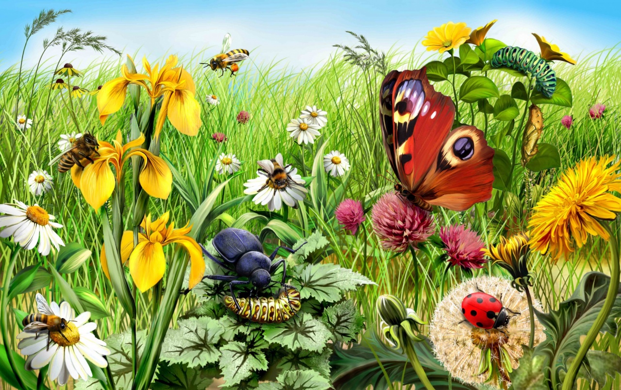 Summer Insects Wallpaper Stock Photos