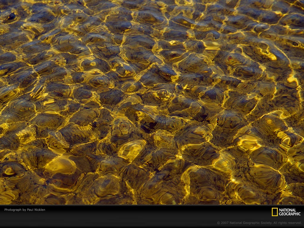 This Photo Is From Patterns In Nature Water