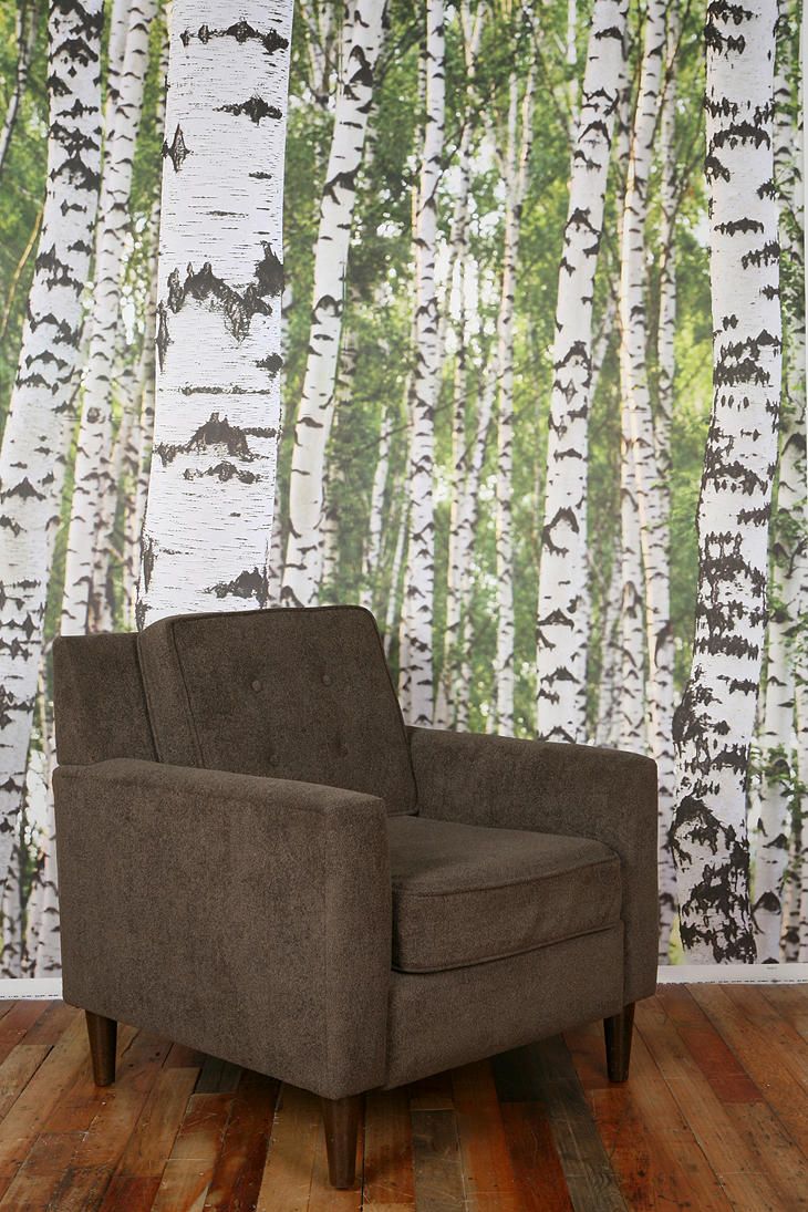 Urban Outfitters Birch Tree Wall Decal Makeshift