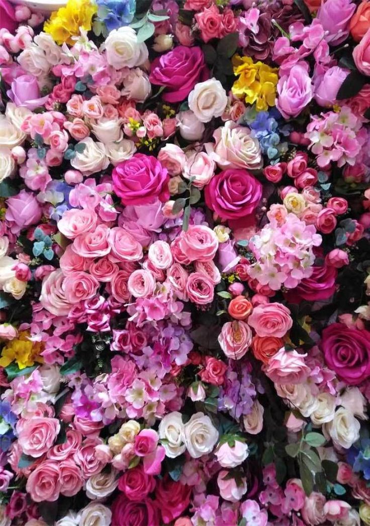 Celebrate summer with these 20 pretty flowers iphone background