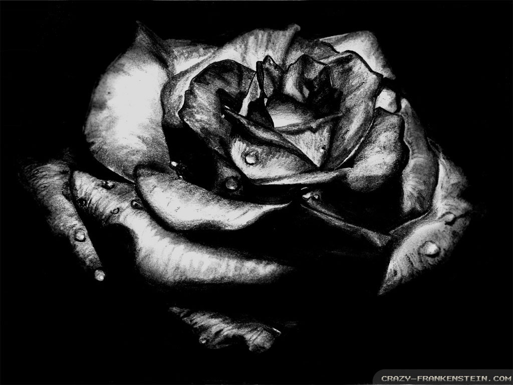 Black rose gothic wallpapers 1024x768 by geny evilgoth16 on