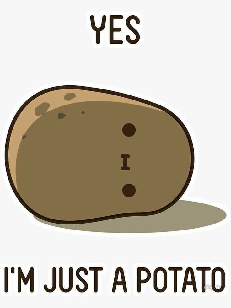 Free download Pin by Violet Moonblossom on memes Cute potato Kawaii potato  [736x981] for your Desktop, Mobile & Tablet | Explore 10+ Funny Potato  Wallpapers | Funny Background, Wallpapers Funny, Funny Cartoons Wallpapers
