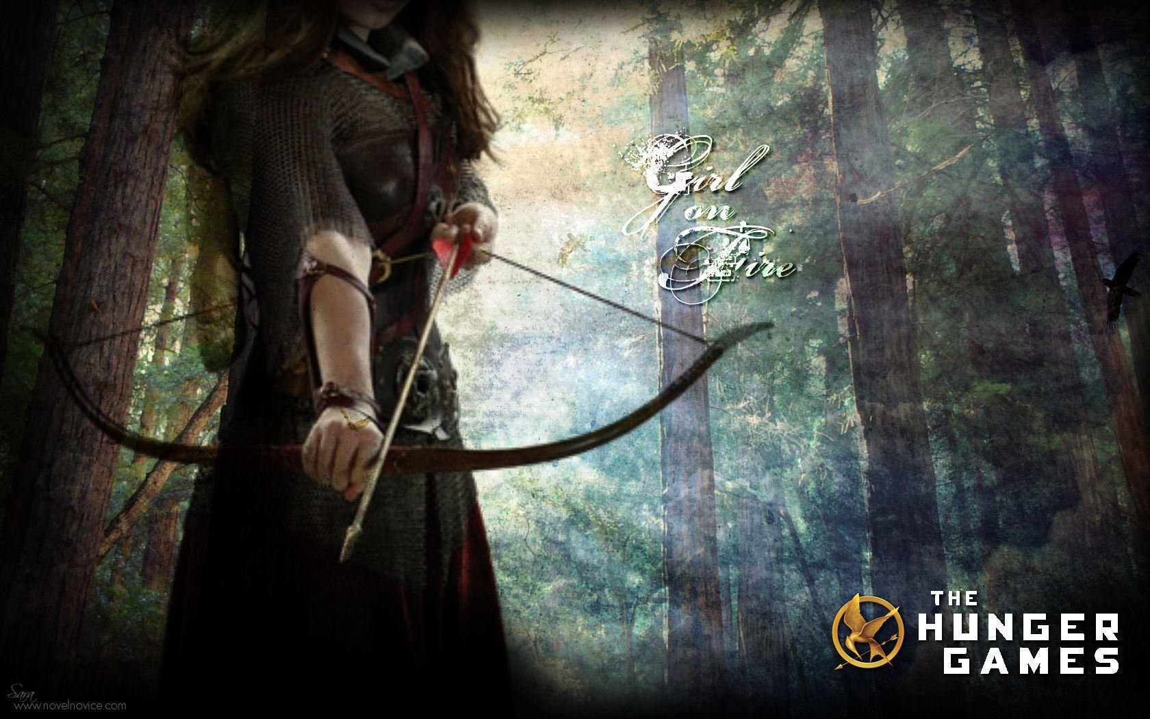 The Hunger Games images quotThe Hunger Gamesquot Wallpapers HD 1680x1050