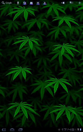  Live Wallpaper for android My Ganja Live Wallpaper 112 download