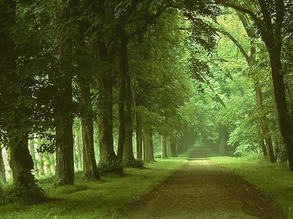 spring nature wallpaper desktop annaharper
