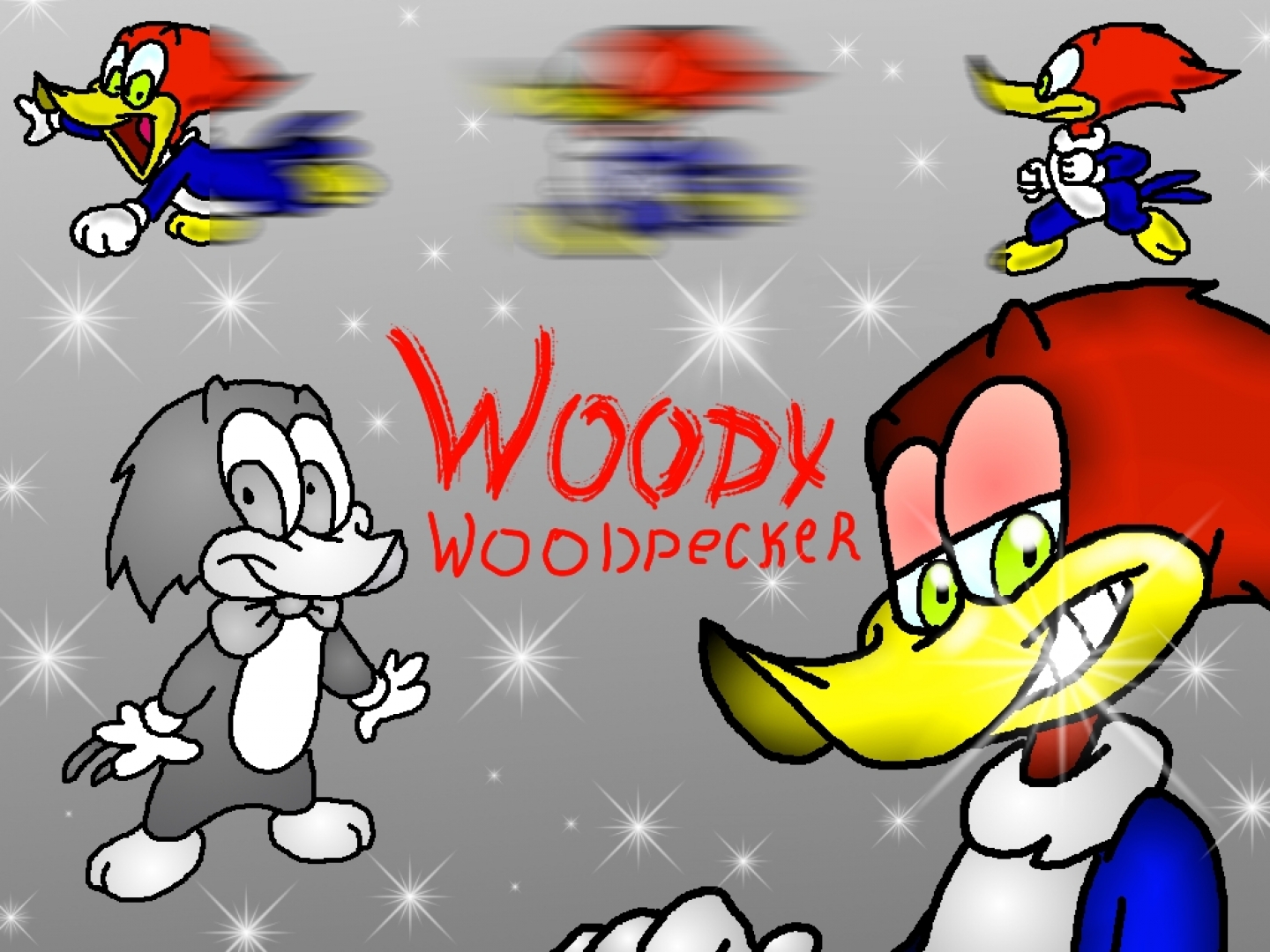 Woody Woodpecker HD You Can See And Find A Picture Of