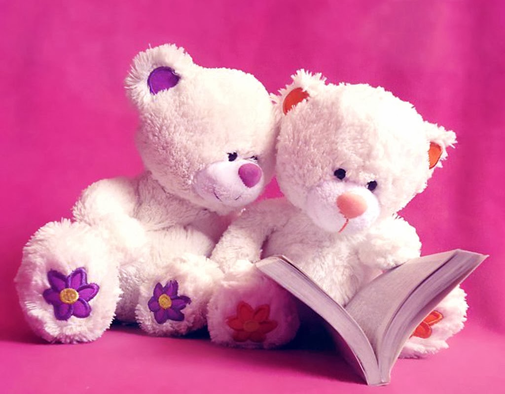 Cute Teddy Bear Pair Reading Pink Wallpaper Jpg Beautiful
