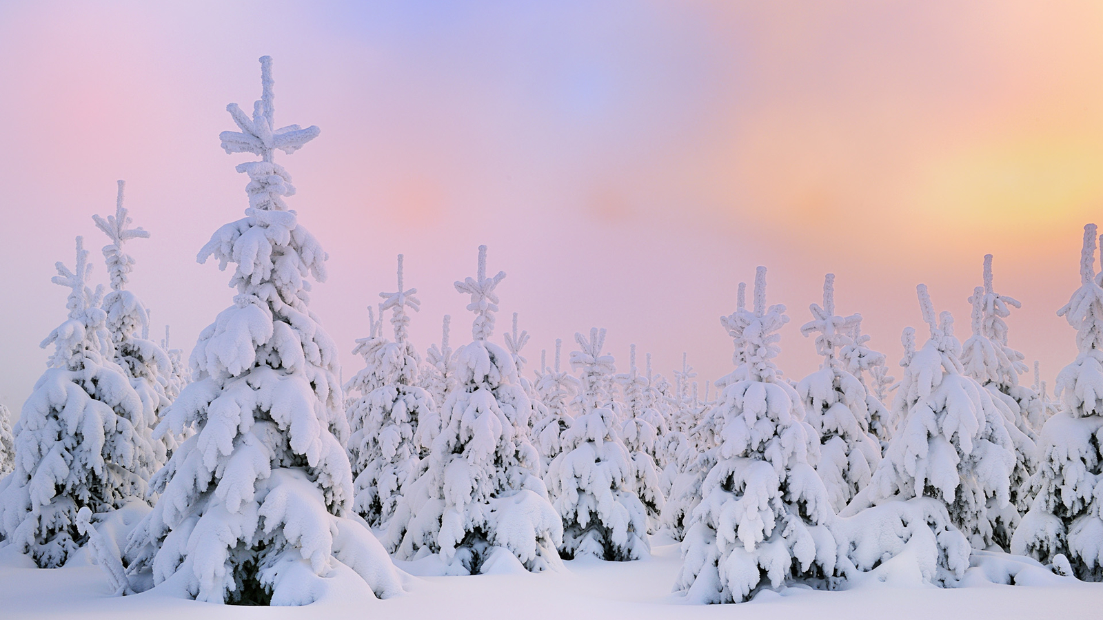 Winter Snow Desktop Wallpaper HD Dongxue Series