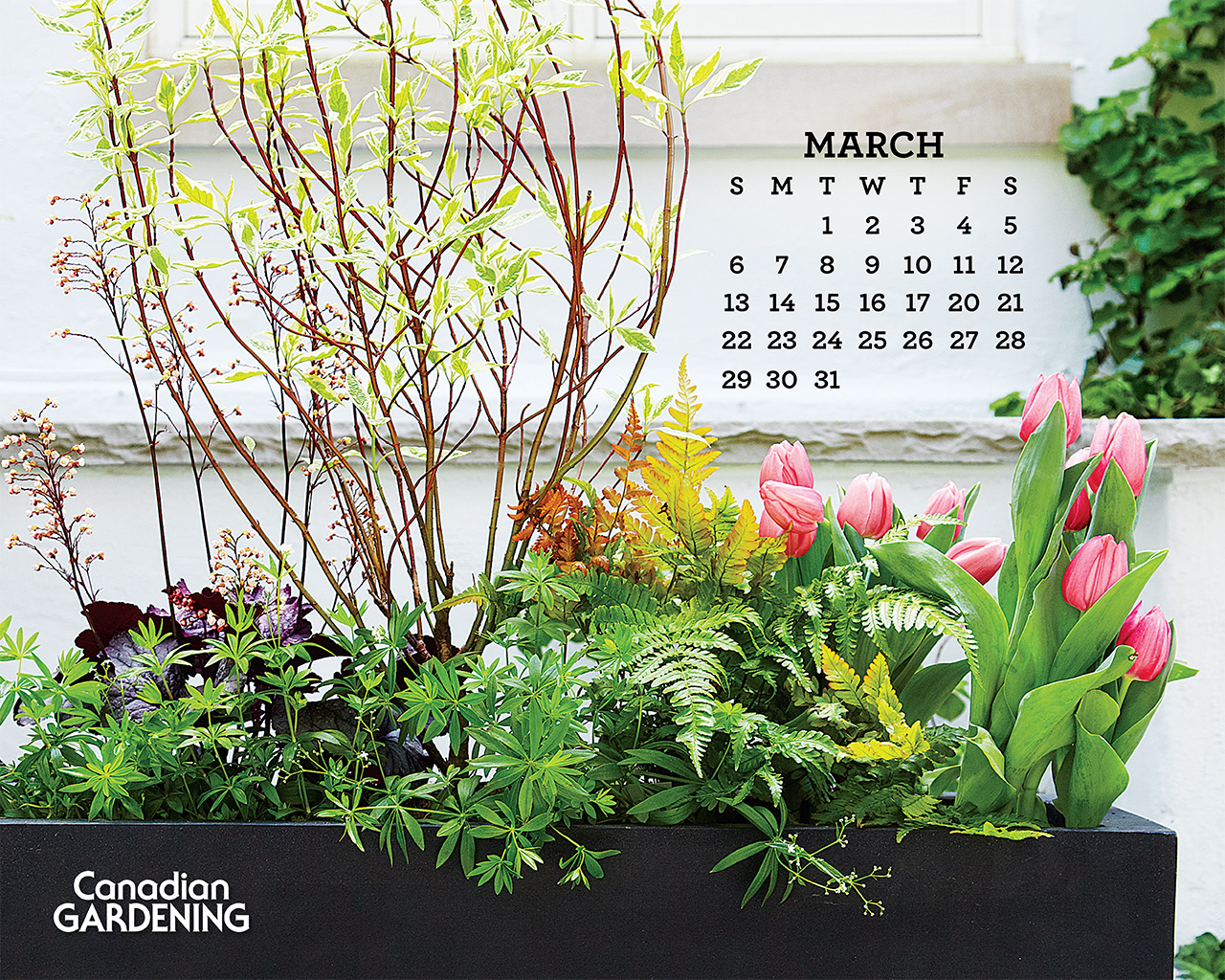 Desktop calendar March 2016   Canadian Gardening 1280x1024