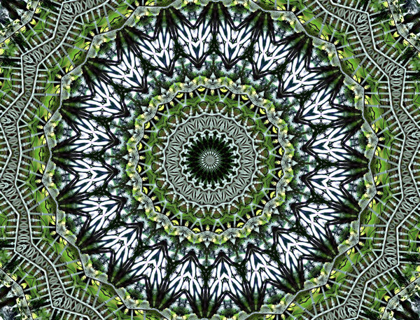 Lace Background Textures Patterns Kaleidoscopic Circles