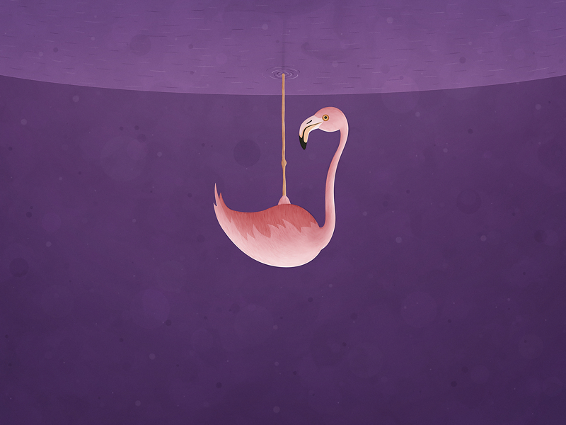 Flamingo Desktop Wallpaper Vladstudio