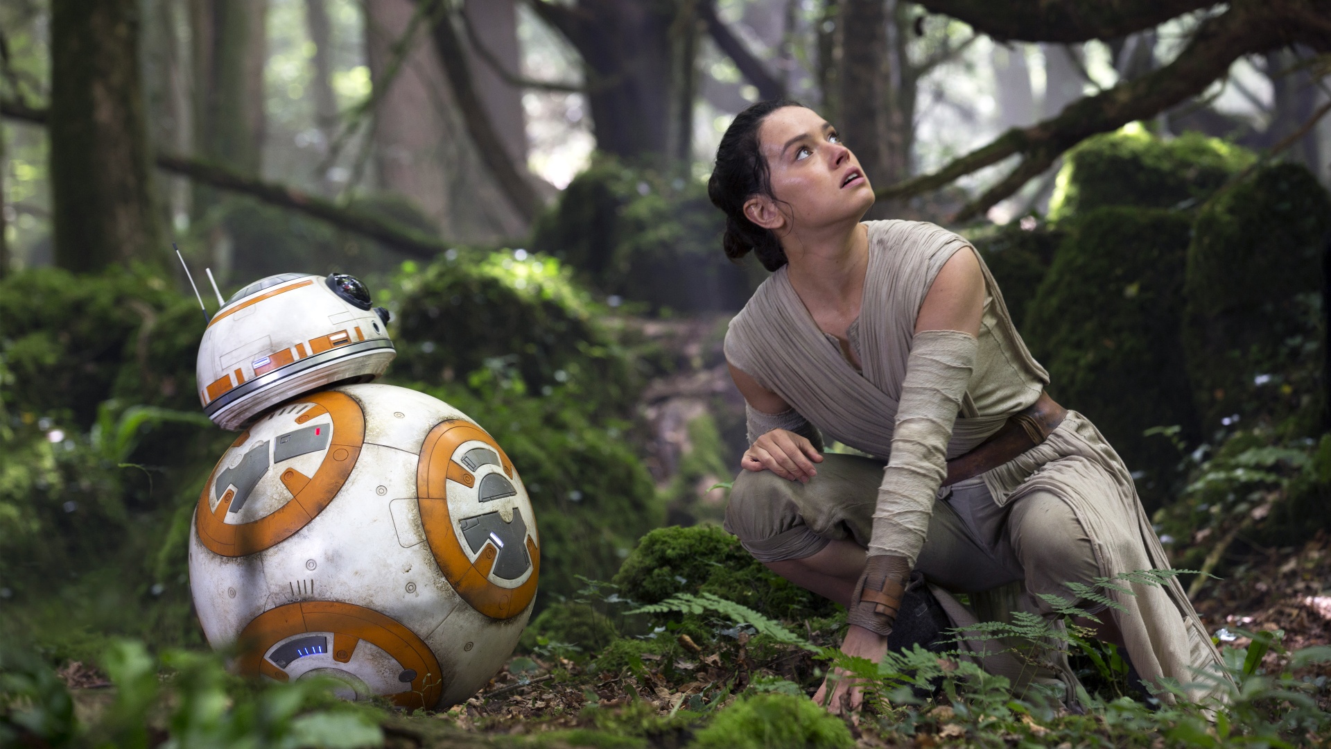 Star Wars The Force Awakens R2 D2 Rey Wallpaper HD
