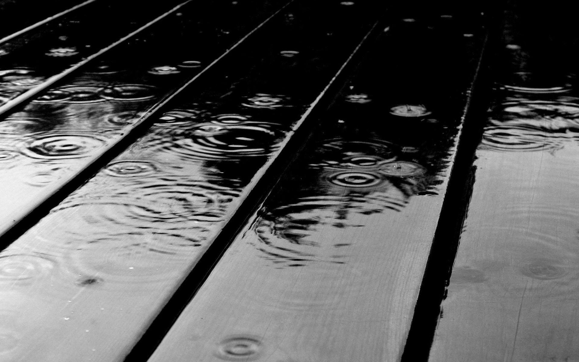 Black Wood Rain Photography Image HD Wallpaper
