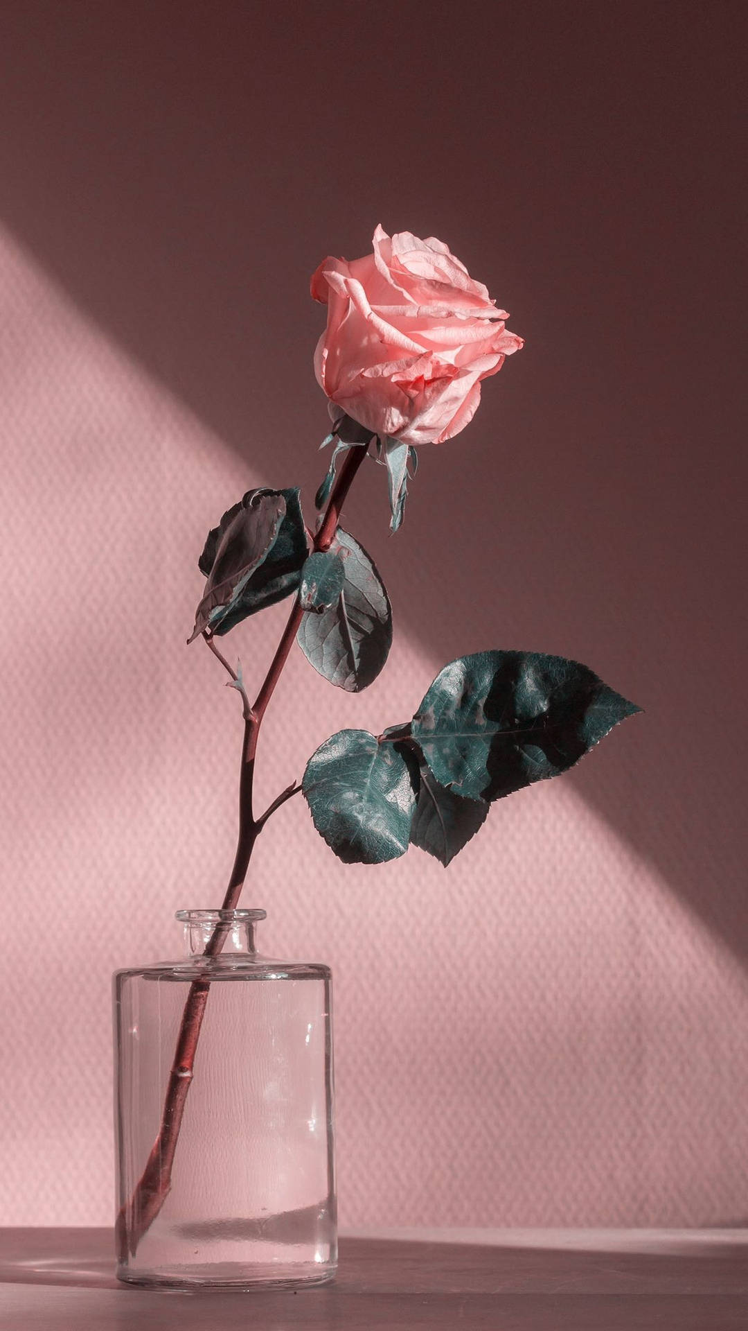 Pink Vintage Aesthetic Wallpaper