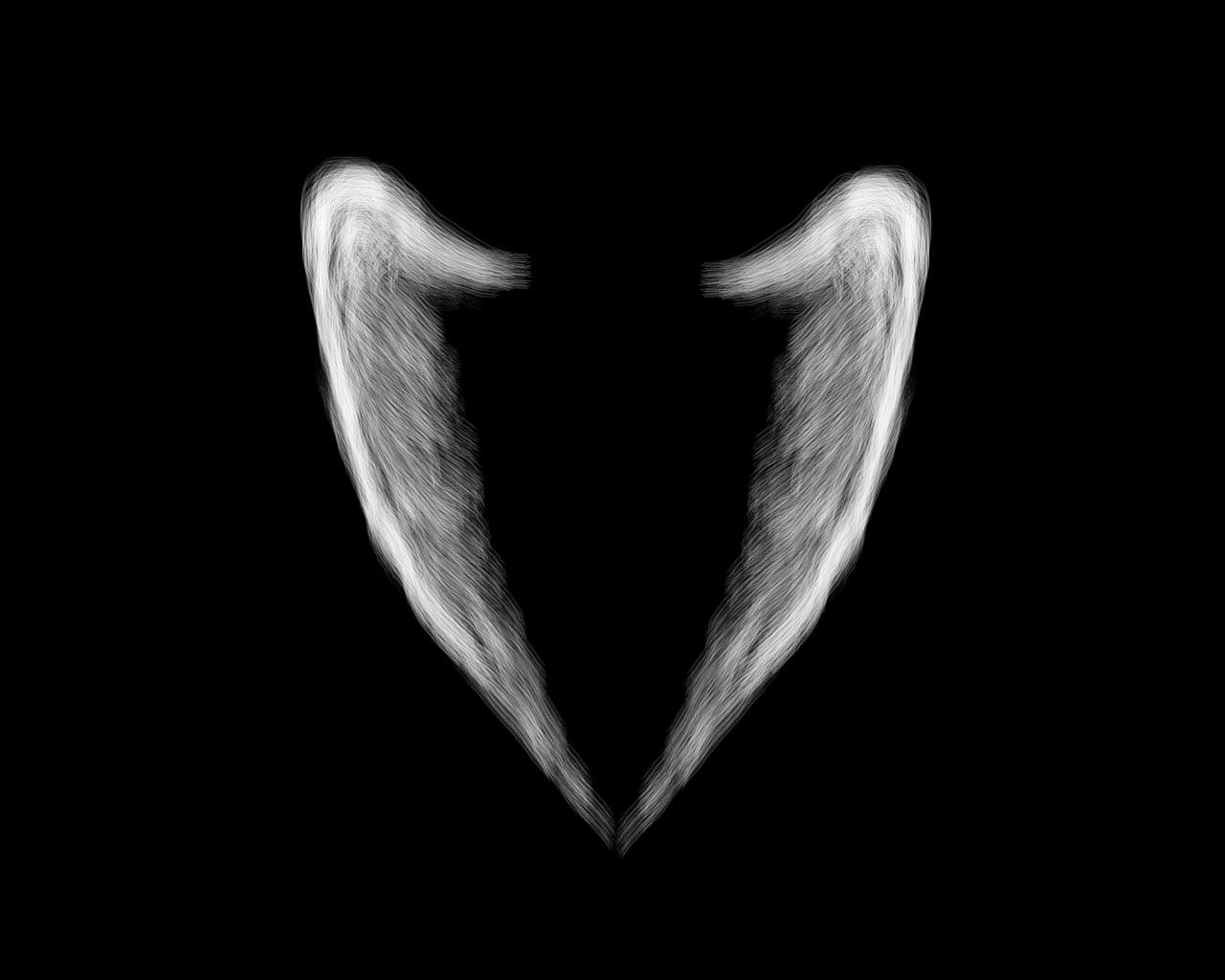 Angel Wing Wallpaper Top HD Image Le Hq