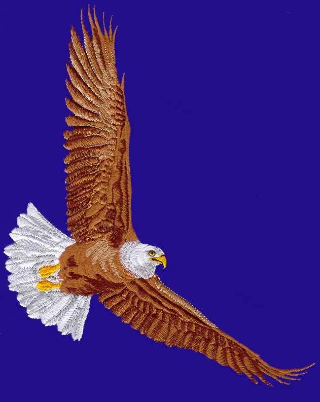 next Andy Warhol Endangered Species Bald Eagle