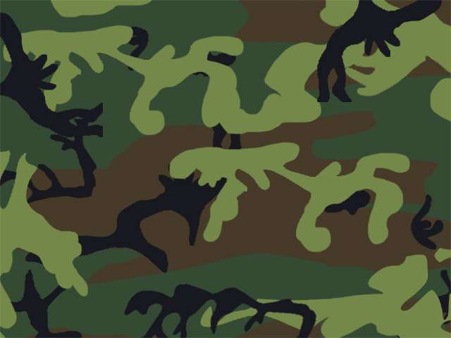 camouflage desktop background 640x480