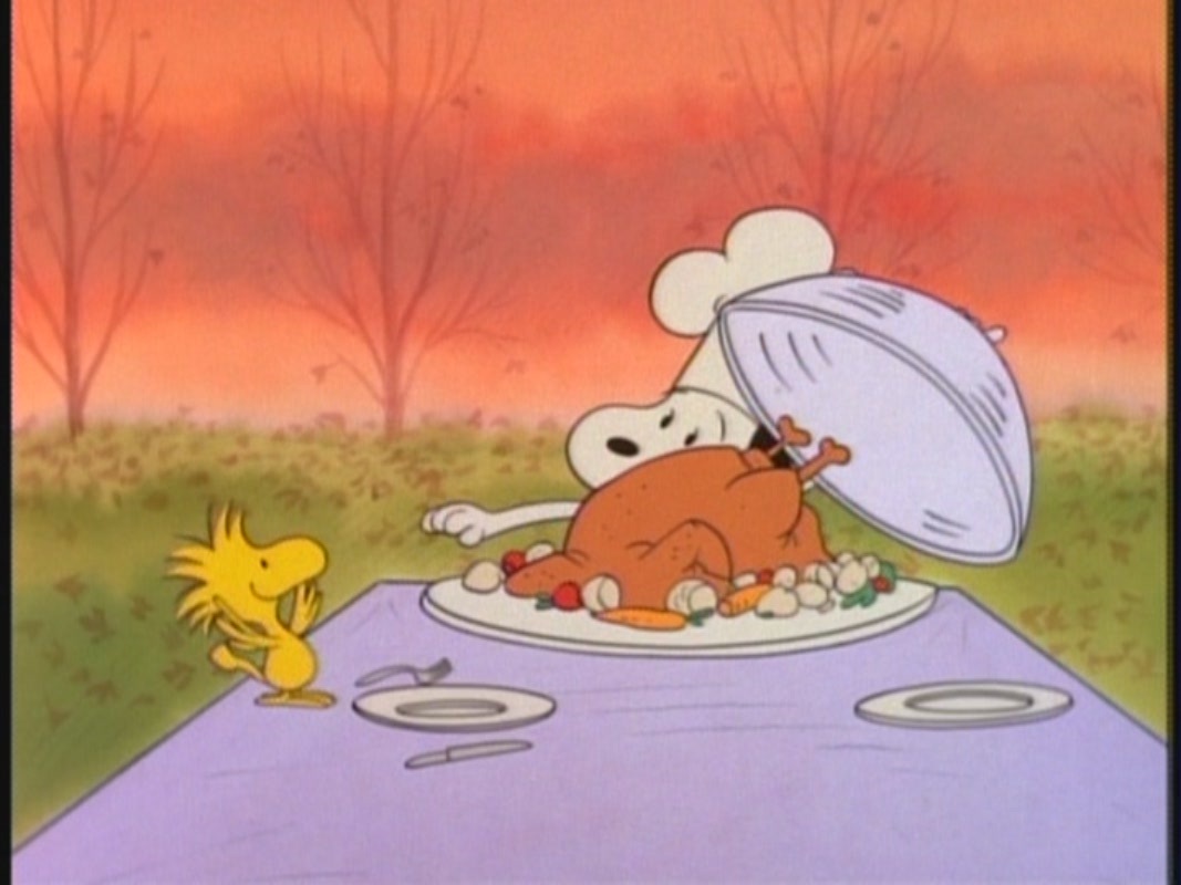 Peanuts A Charlie Brown Thanksgiving Gif Original