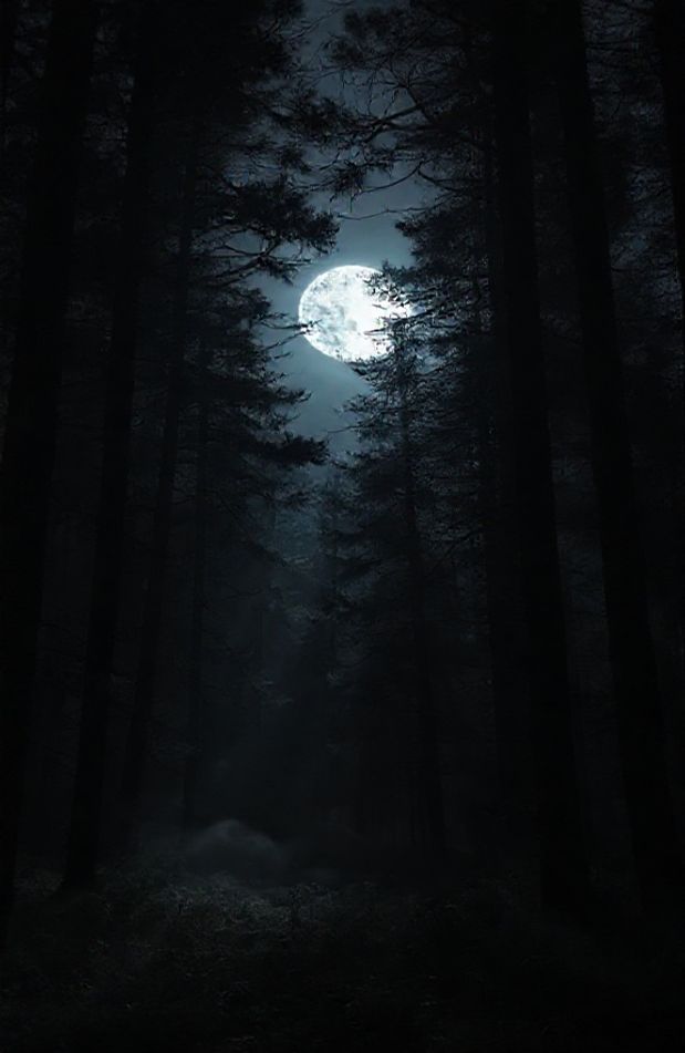 Dark Forest With Moon Wallpaper