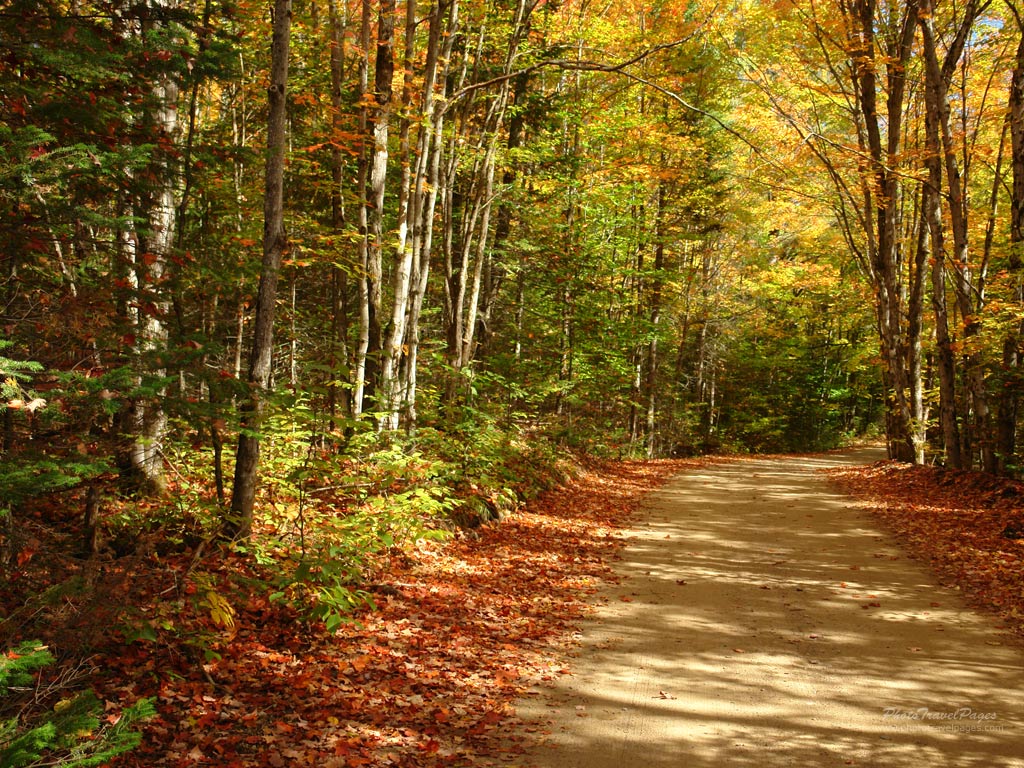 Fall Foliage Lake Superior Provincial Park Canada Wallpaper Size