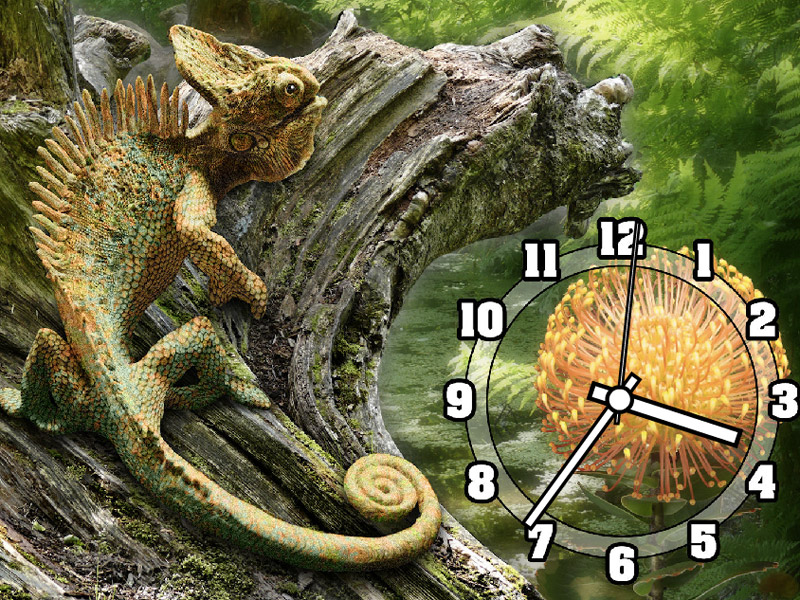 Chameleon Clock Live Wallpaper For Windows Screenshots