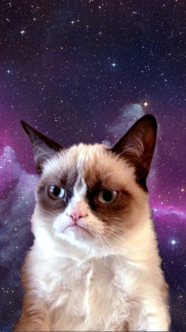 Grumpy Space Cat iPhone Wallpaper