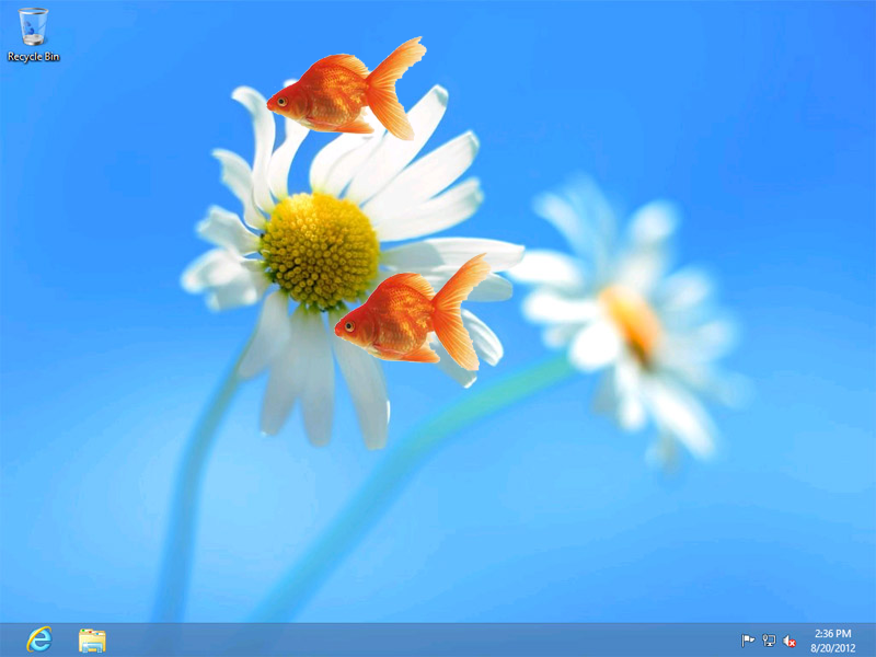 Live Goldfish Wallpaper Desktop Windows