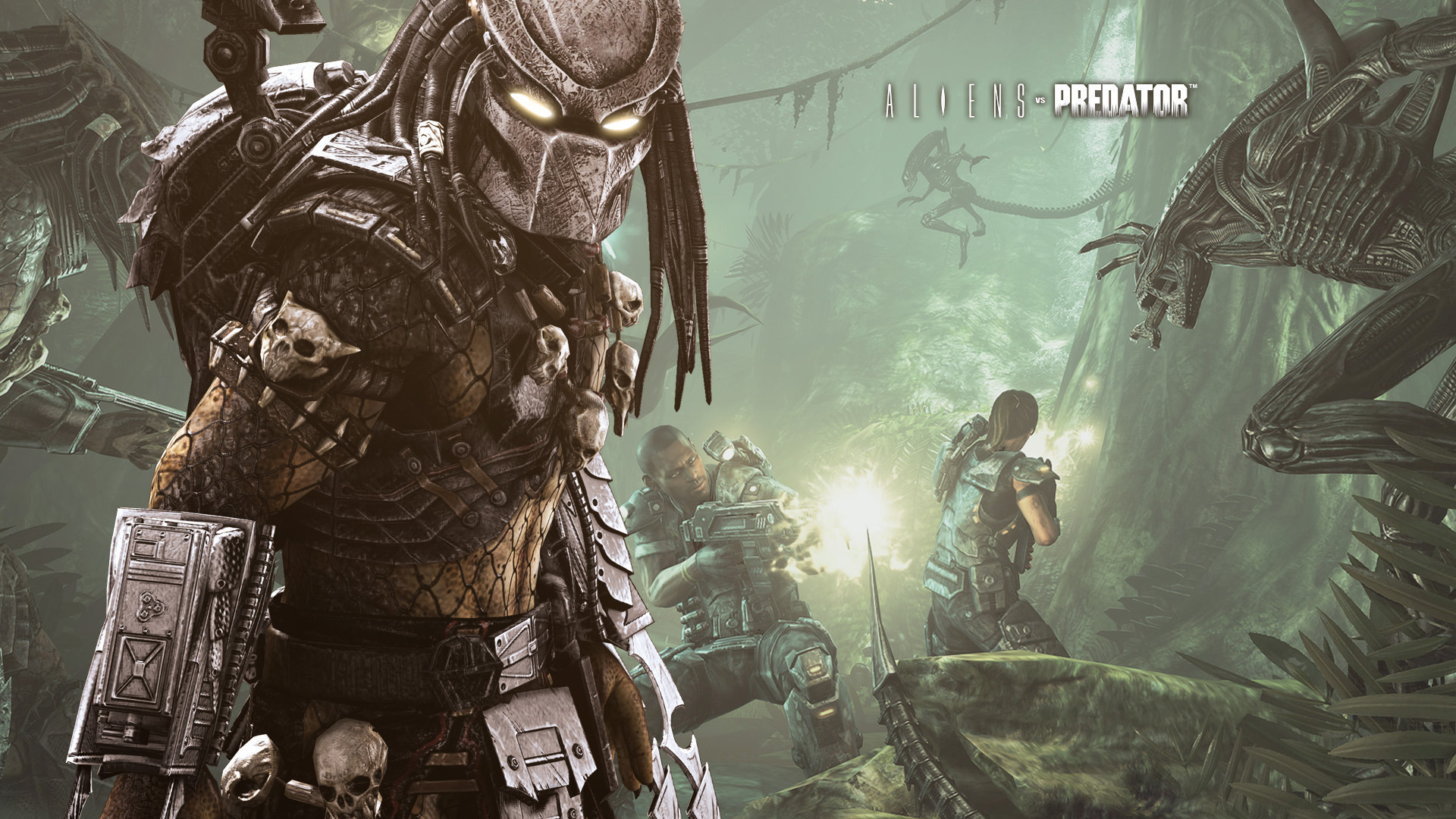 Aliens Vs Predator Game Wallpaper Full HD