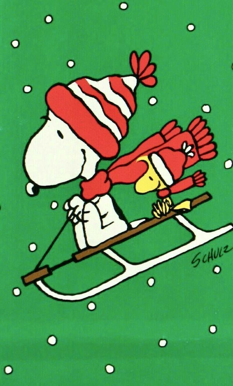 snoopy woodstock sled phone wallpaper Snoopy and woodstock
