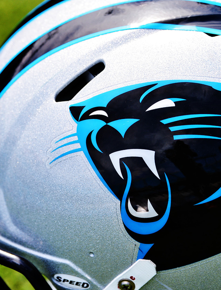  Carolina Panthers Wallpapers For Phones And Tablets 450x590