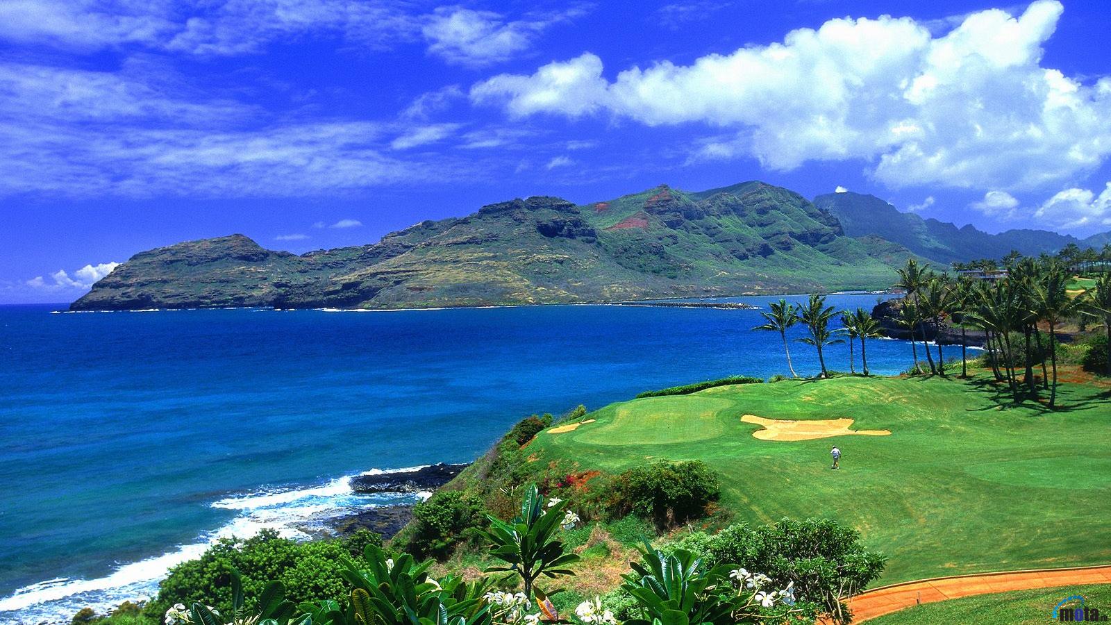 Wallpaper Golf Course in Hawaii x widescreen Desktop