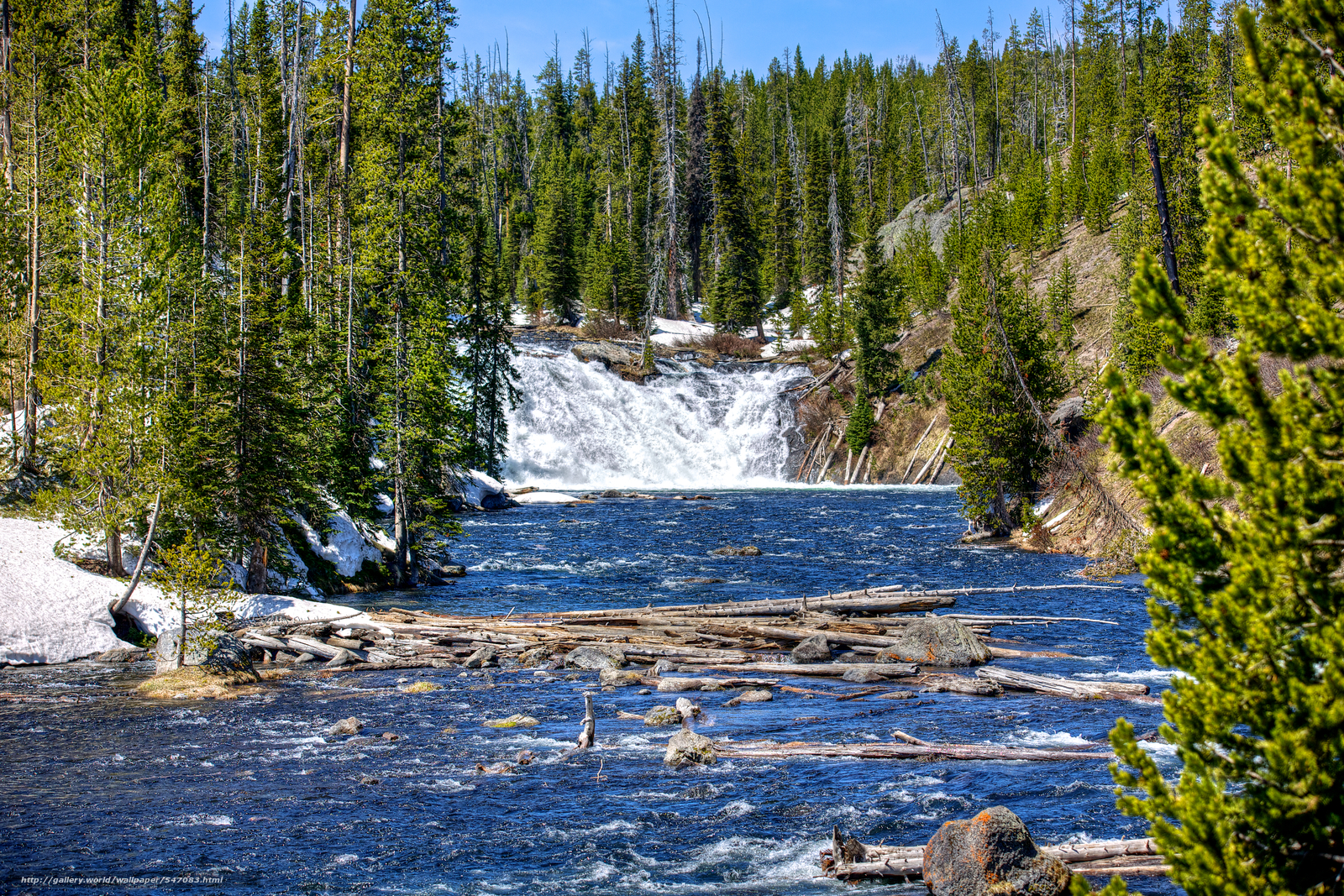 Download wallpaper Yellowstone National Park waterfall river trees
