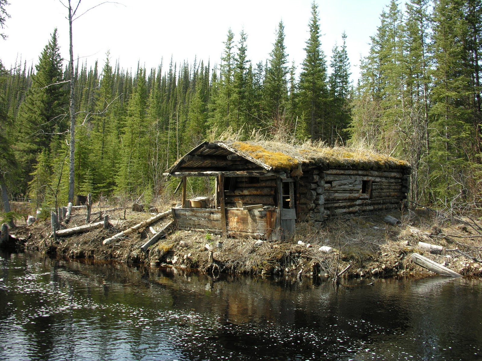 Log Cabin With Sod Roof In Yukon