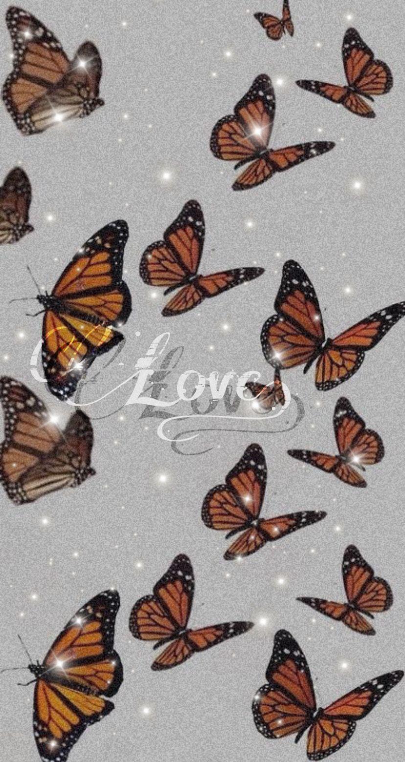Cute Butterfly Wallpaper iPhone