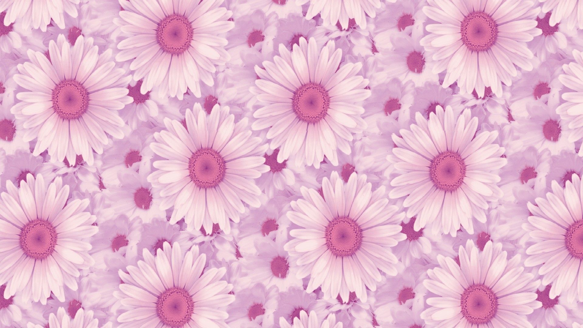 Pastel Pink Aesthetic Cute Wallpaper For Laptop