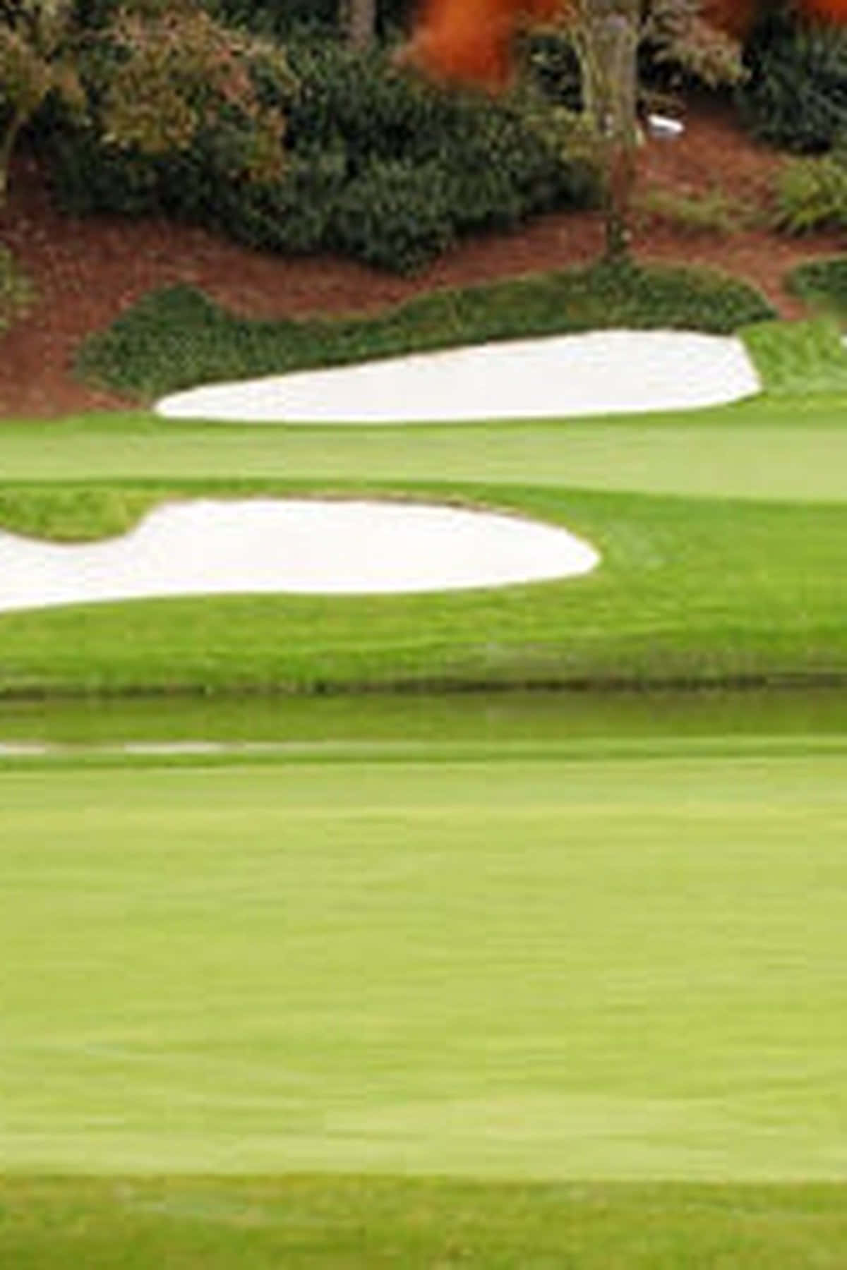 Augusta National iPhone X Wallpaper