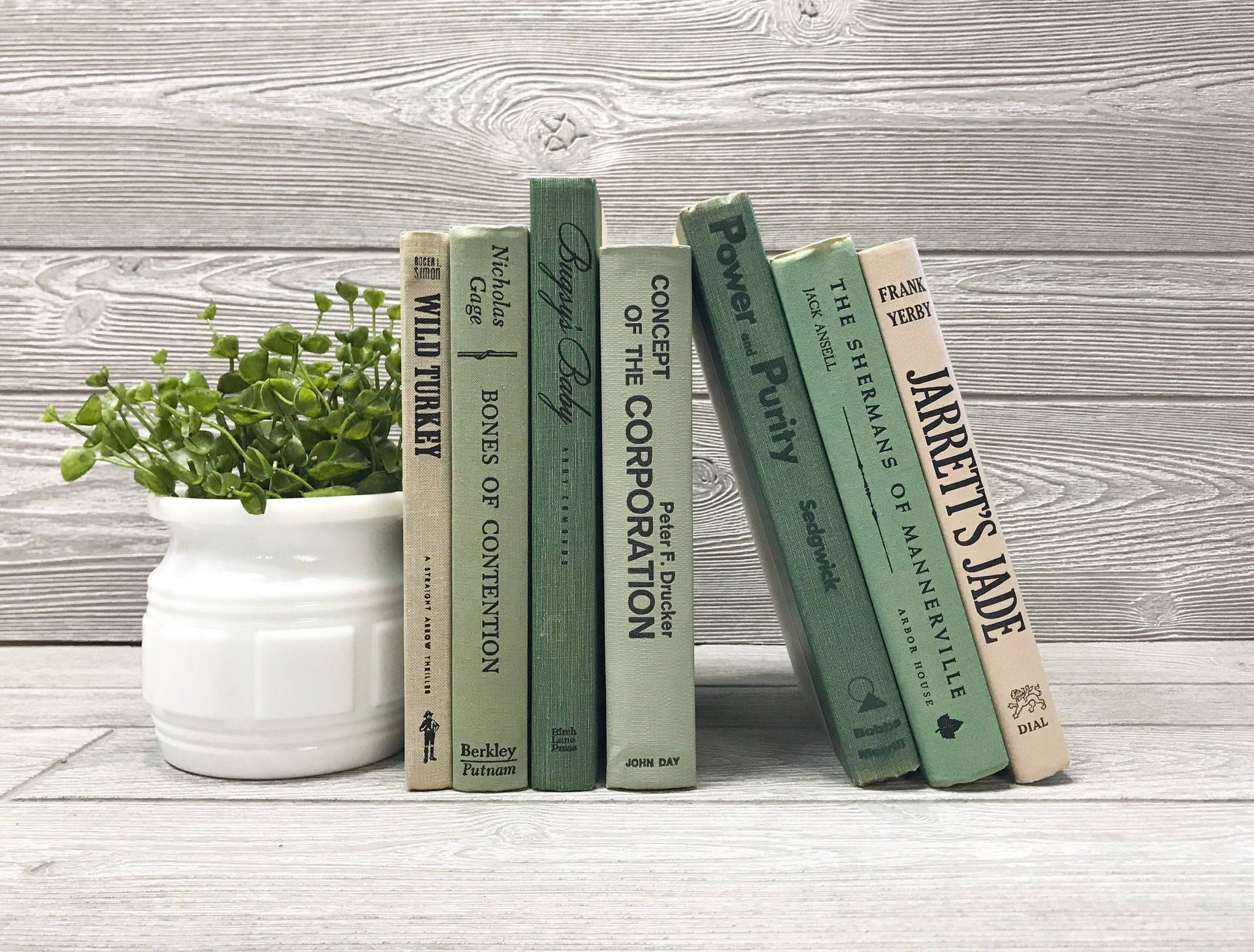 Sage Green Aesthetic Wallpaper