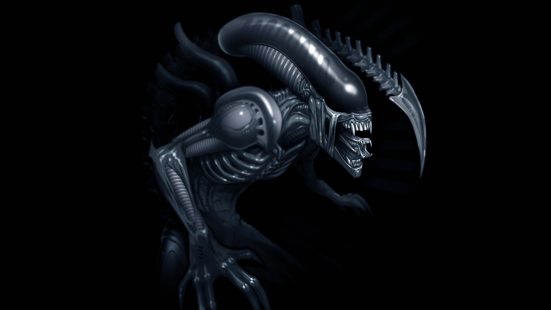 Background Alien Xenomorph Wallpaper