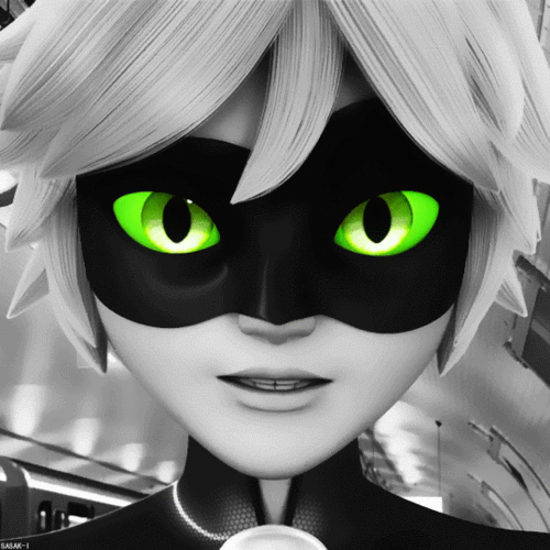 Chat Noir Wallpaper And Background Image In The Miraculous Ladybug