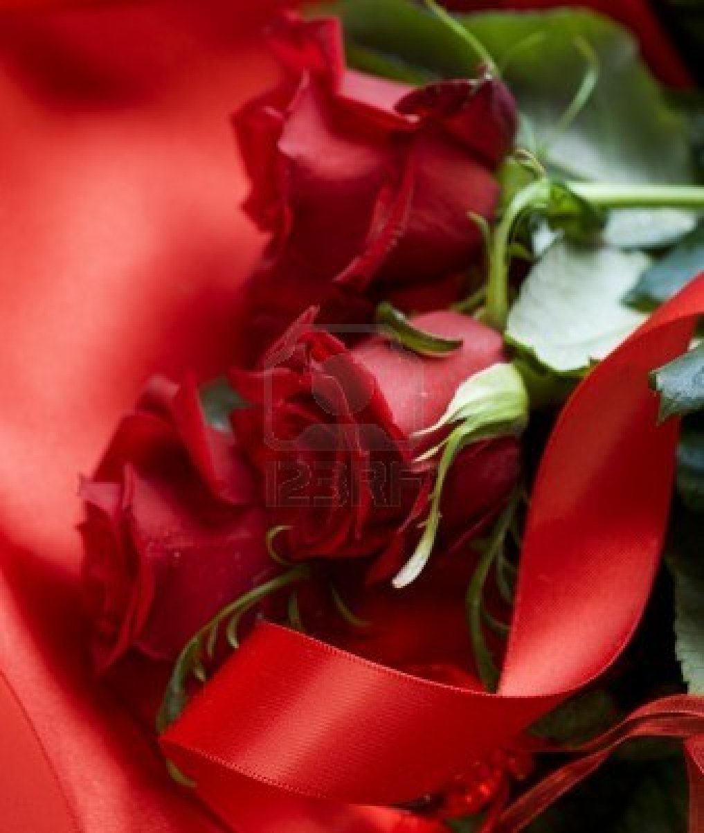 Valentine Rose Pictures HD Wallpaper S Day